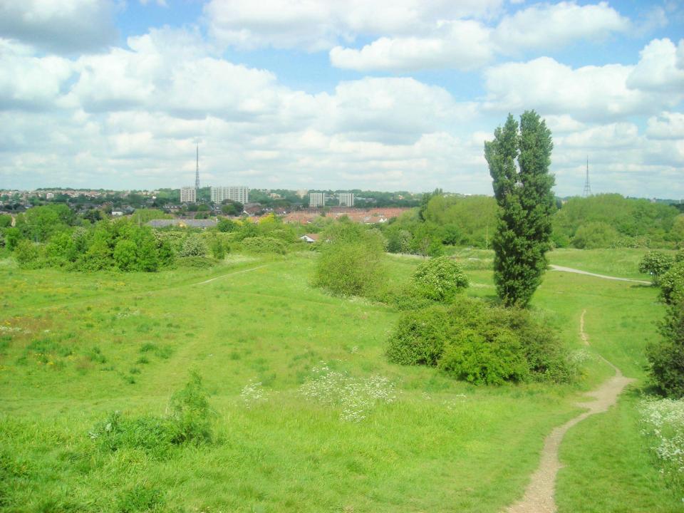  The pair were filmed at South Norwood Country Park