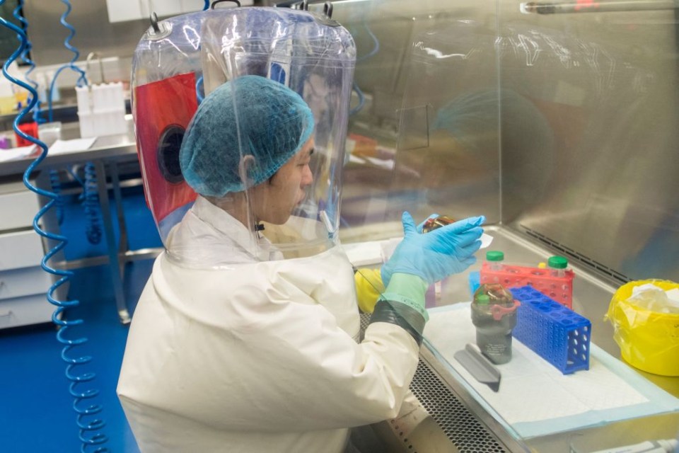 The Wuhan Institute of Virology is the most secure lab of its kind in China. A researcher is seen on February 23, 2017