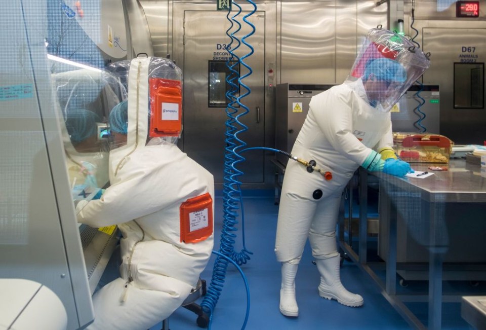 Scientists at the Wuhan Institute of Virology with a cage including mice in 2017