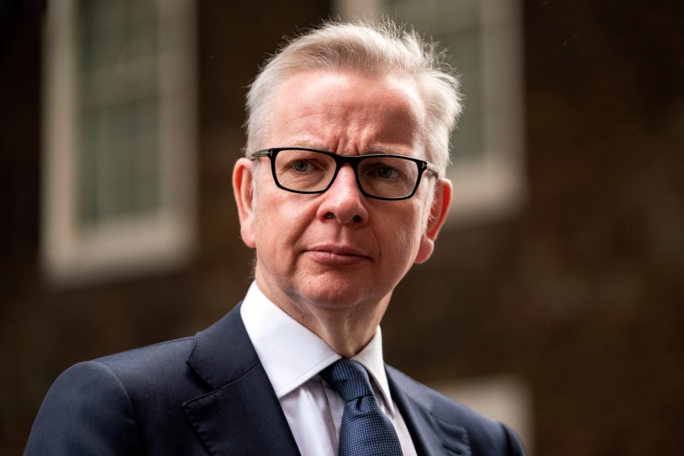  Michael Gove has slammed the 'irresponsible' conspiracy theory