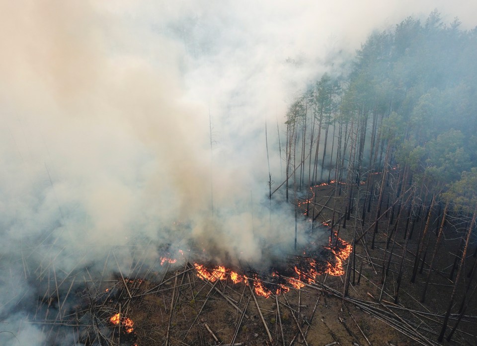  Authorities say the fire has spread to more than 100 hectares of forest