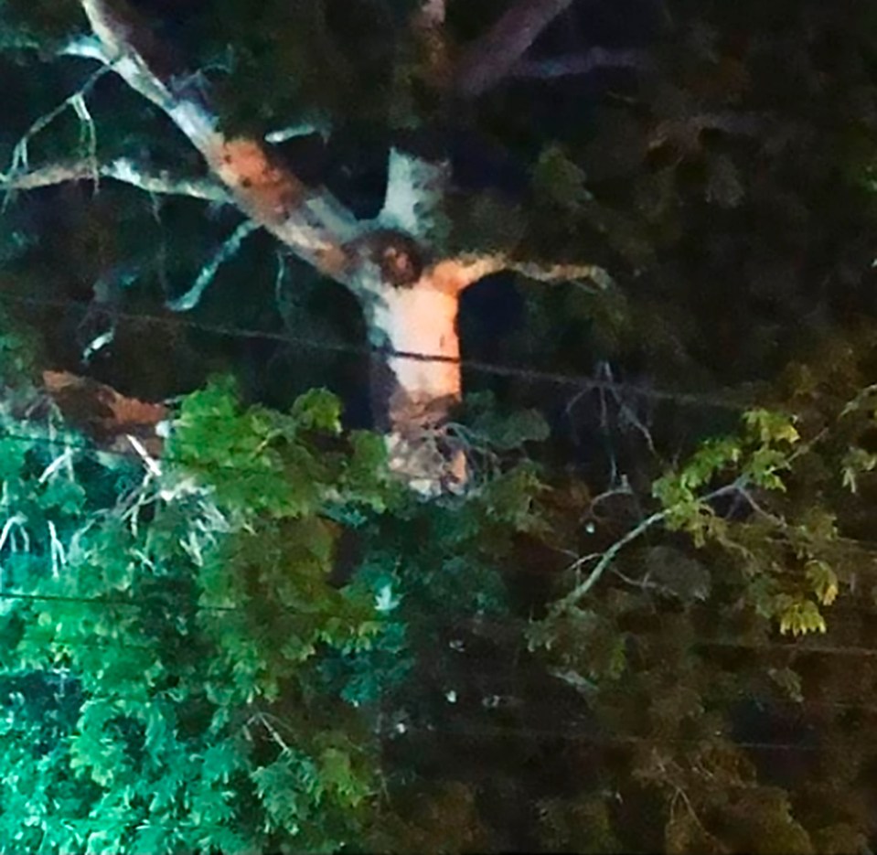 Worshippers have broken a coronavirus quarantine in Colombia to see what they claim is the image of Jesus in a tree