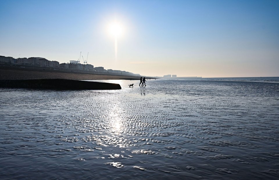  Brits will be treated to 20C temperatures later this week