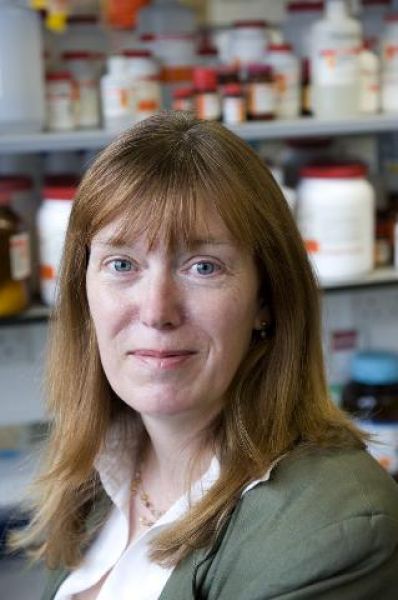  Professor Sarah Gilbert says a vaccine could be available for use by the general public by the autumn