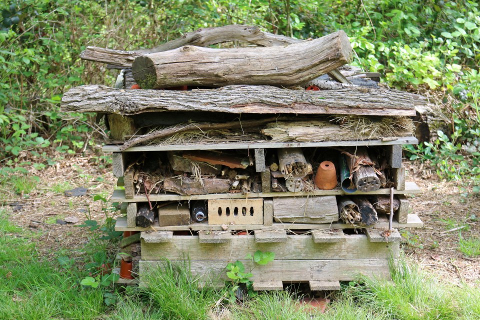  You can place your bug hotel by your window if you don't have a garden