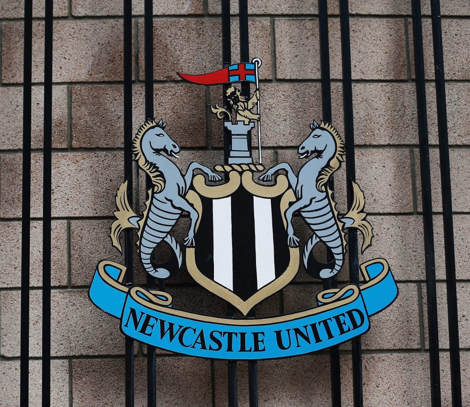  Prem clubs are raising concerns about Newcastle's potential Saudi takeover