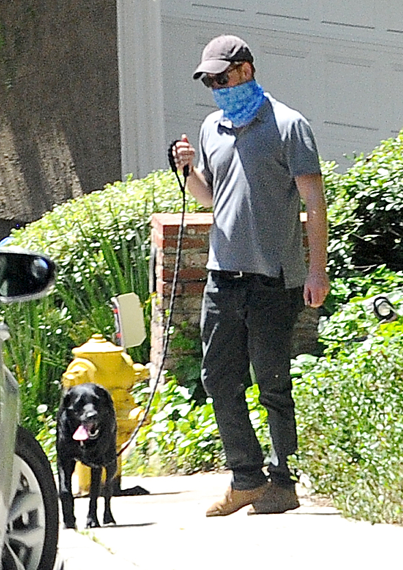  Harry wore a blue bandana, hat and sunglasses as he walked his dog