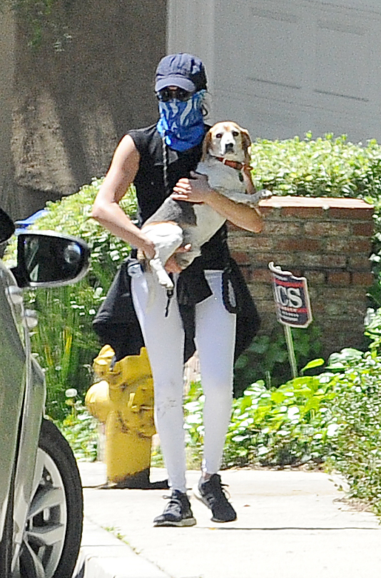  Meghan and Harry were seen enjoying a dog walk in LA earlier this week