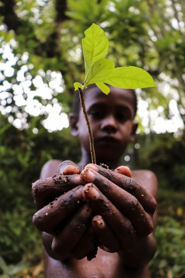  'One of the trees was meant to this earth' by @adingkuswara