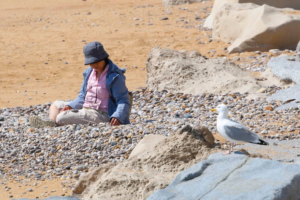  West Bay, in Dorset, enjoyed sunny weather on Tuesday