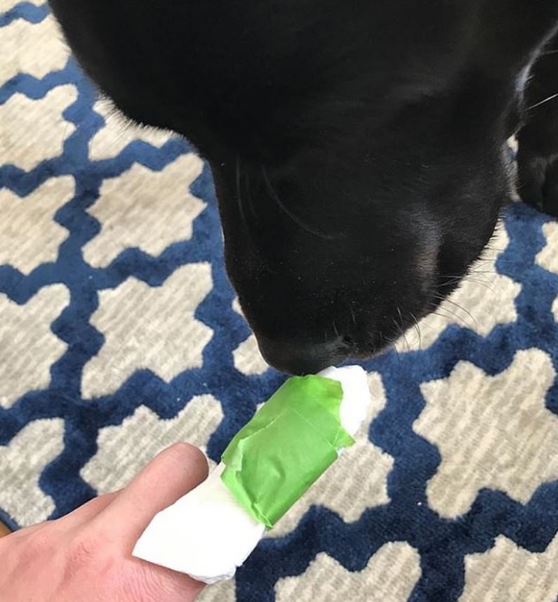  A mum shows off the slapdash first aid she received from her daughter after she sliced the top of her finger off with a Stanley knife