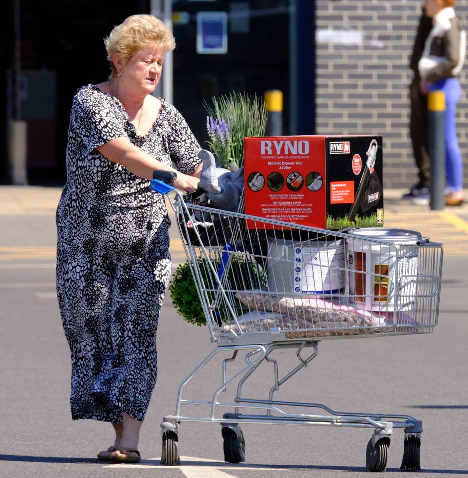  An electric blower vacuum for leaves was among the items one shopper purchased