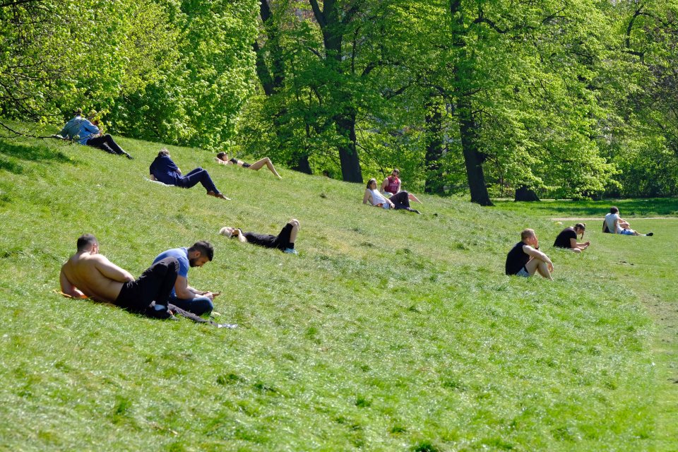  Brits were seen sunbathing in Hyde Park - and made sure they were social distancing