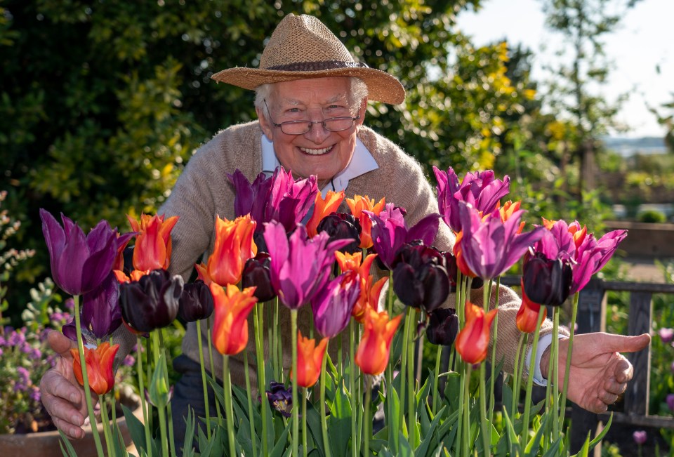  Sun legend Peter Seabrook, who lost his wife Margaret to coronavirus, urges Boris Johnson to re-open garden centres