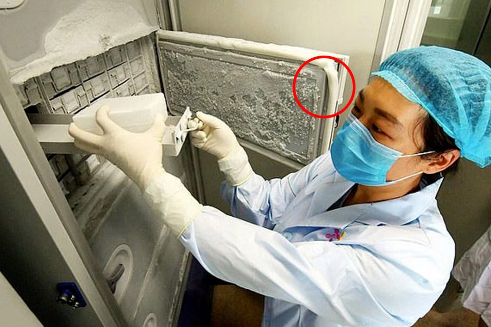  A photo shows a broken freezer seal inside the lab