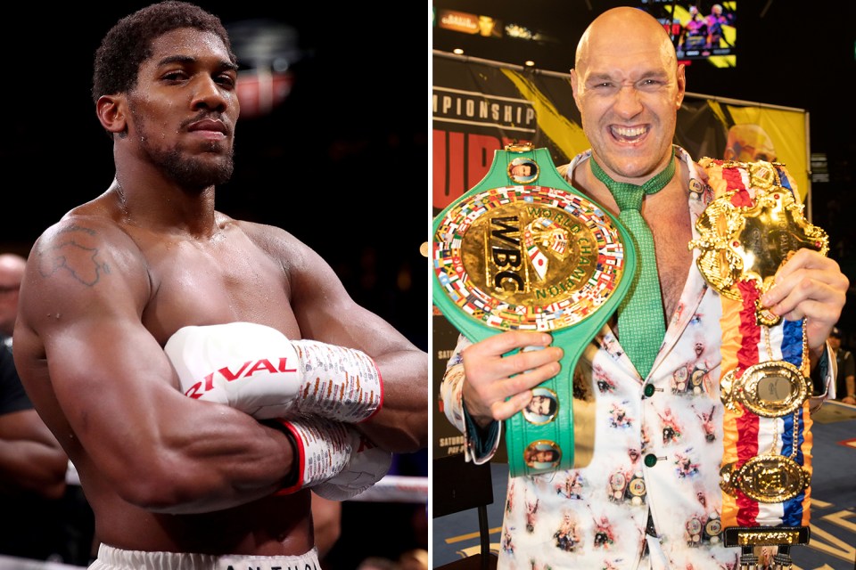  They both might be heavyweight world champions, but Anthony Joshua and Tyson Fury don't make David Haye's list