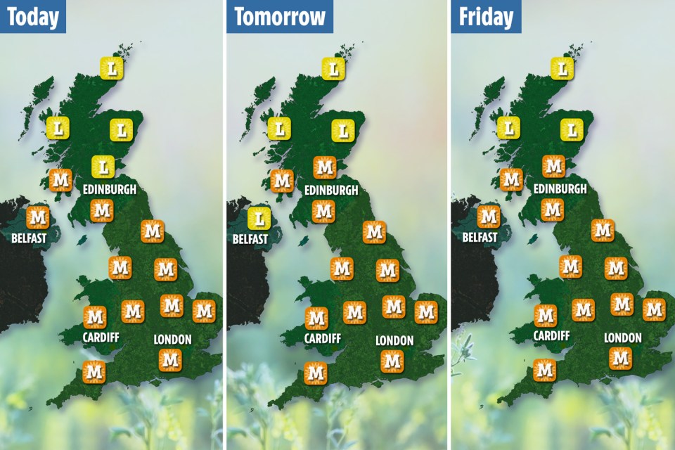  The graphic above shows the pollen levels for this week