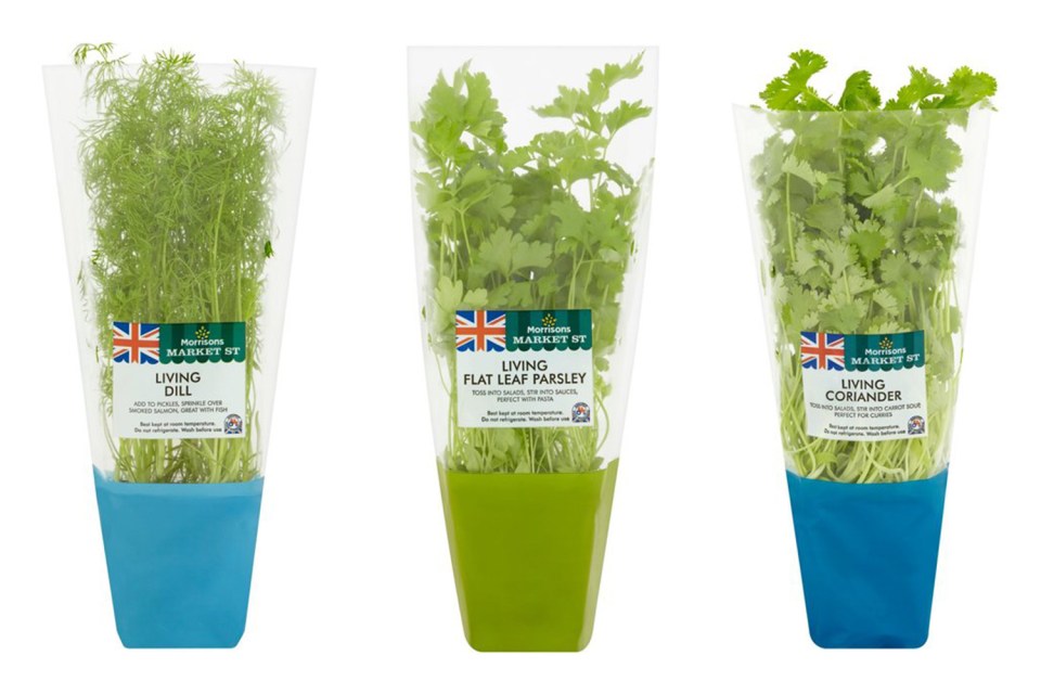 Morrisons is recalling 10 fresh herbs over listeria fears, including dill, parsley and coriander