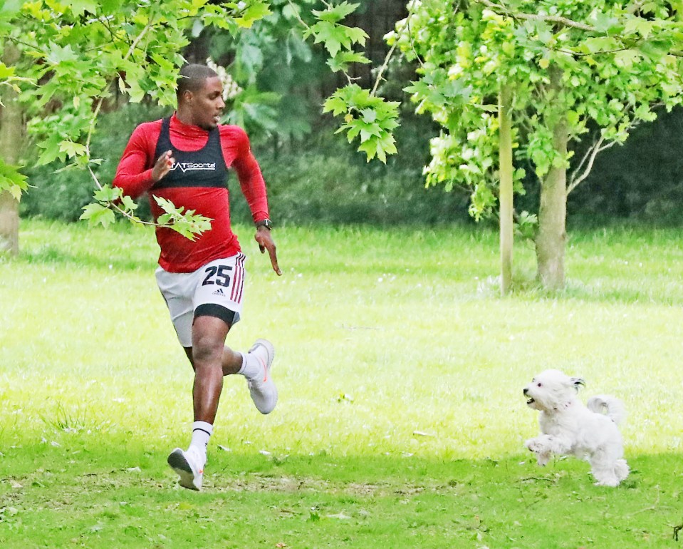  A dog ran alongside the ace as he sprinted