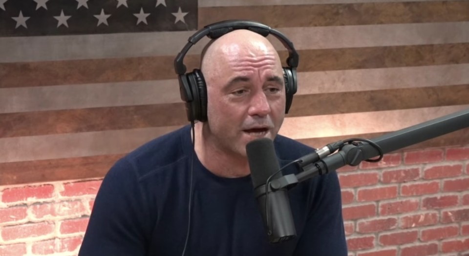 Joe Rogan Experience (JRE) boasts 190million downloads a month, according to Rogan