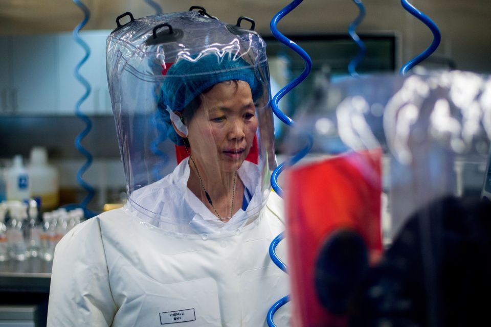  Virologist Shi Zhengli pictured inside the P4 laboratory in Wuhan