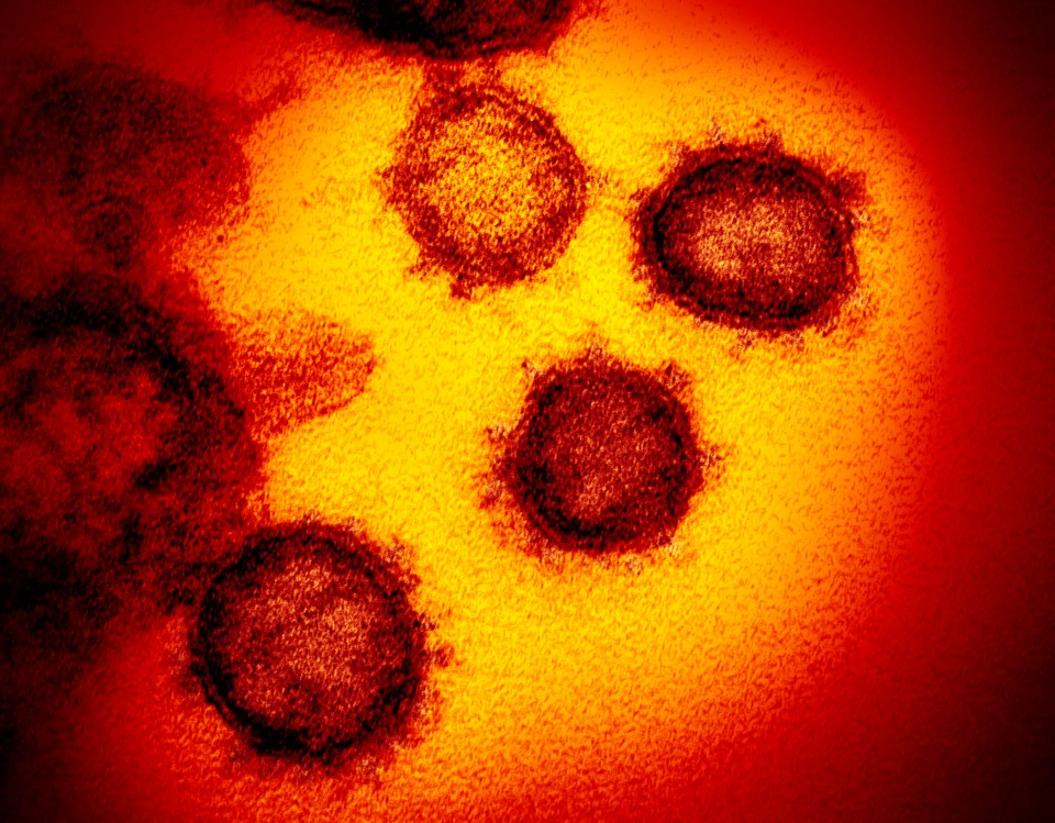  Coronavirus deaths in the UK have jumped to 31,855 after 269 more people died - the lowest rise since March