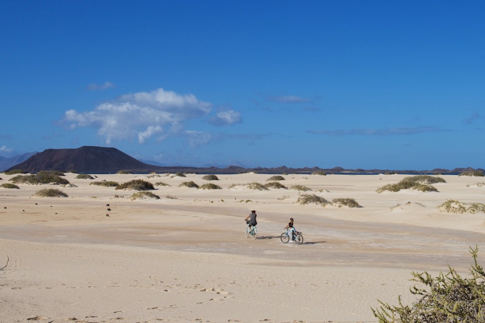 The study hopes to keep beaches, swimming pools and seaside resorts clean and safe