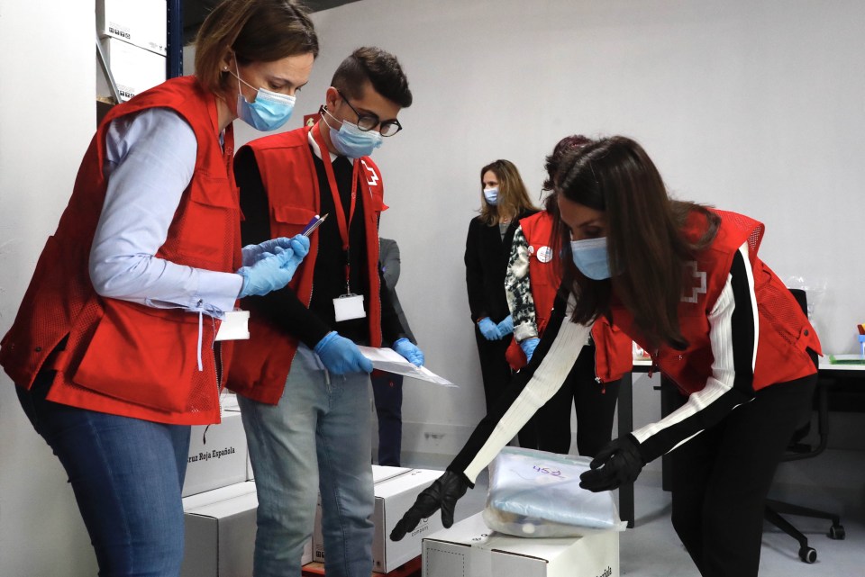  Queen Letizia visited the Red Cross facilities in Madrid - one of Spain's worst hit area - on May 11