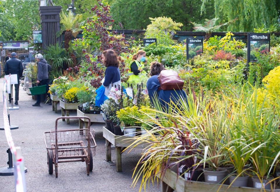  Camden Garden Centre has reopened and is taking in visitors today