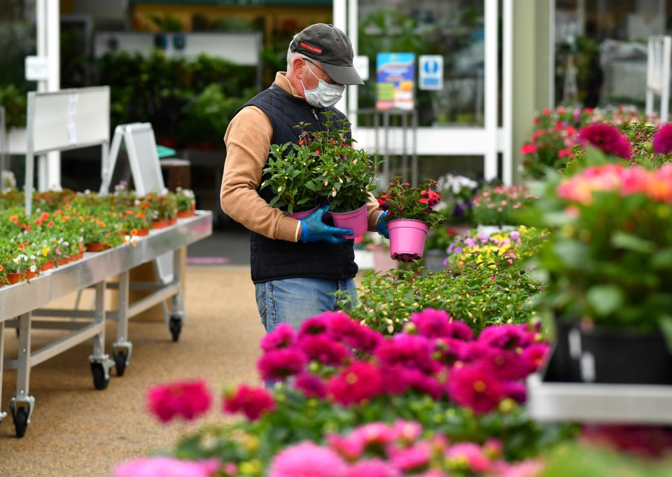  One man wore a mask at Polhill Garden Centre as he browsed for flowers, following the reopening of garden centres