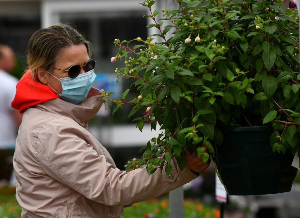  Cooped-up Brits bought plants to brighten up their gardens today