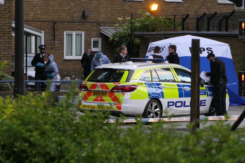  A man was fatally stabbed in broad daylight in Great Dover Street