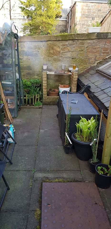  The old patio tiles were dirty and covered with moss and weeds