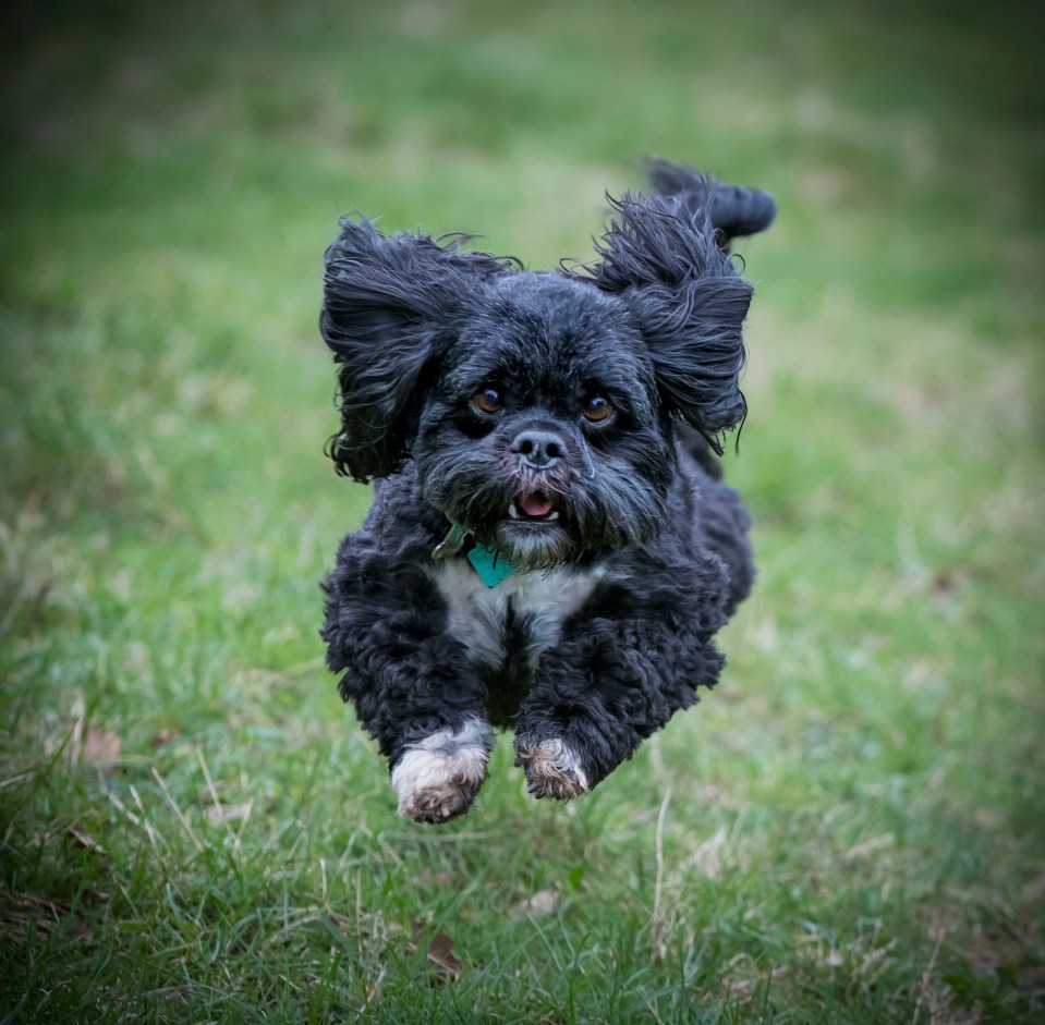  But then it was back to earth with a bump when walkies were over