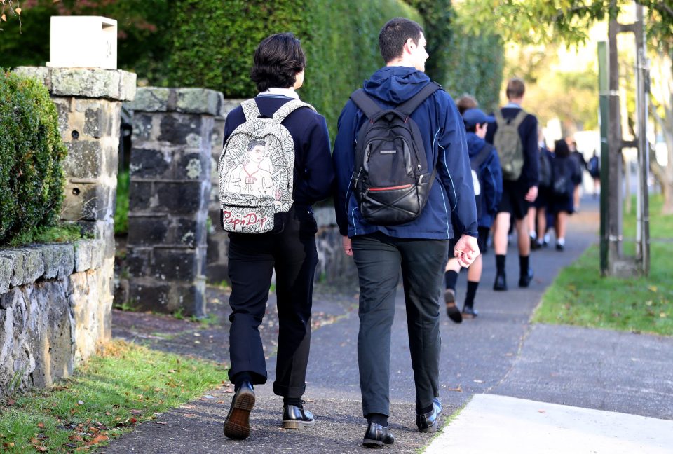  Ministers have drawn up proposals for a 'phased' return that could see children in reception, Year 1 and Year 6 start to go back to schools in England as early as June 1