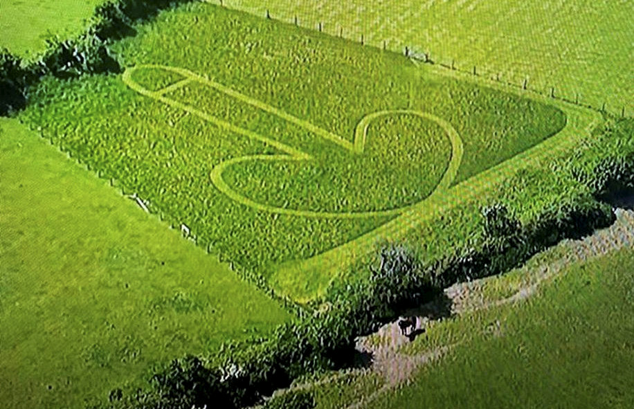  Cops in Cornwall spotted this image in a field while they were looking for a drone suspect