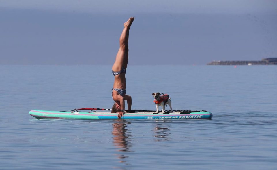  Charmouth paddle board instructor Esther Wyatt goes for her daily exercise with dog Daisy on a sunny morning in Dorset