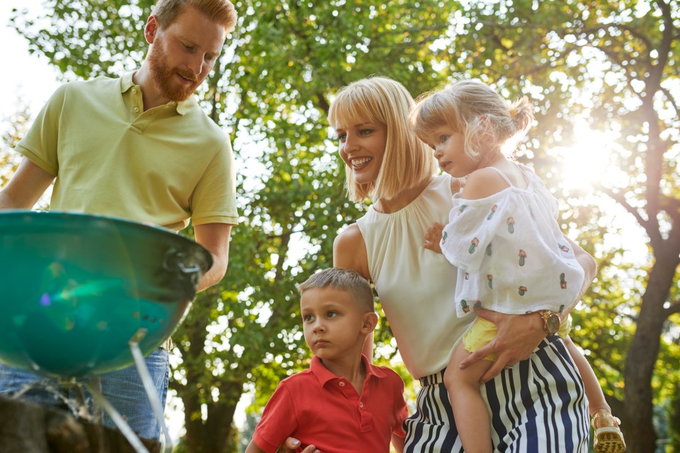  Barbecues with other households are set to be allowed from the end of June (Stock photo)