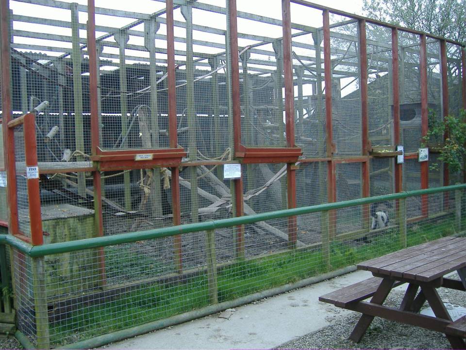  A spokesman for the County Council said they had lost confidence in the ability of the zoo to operate responsibly