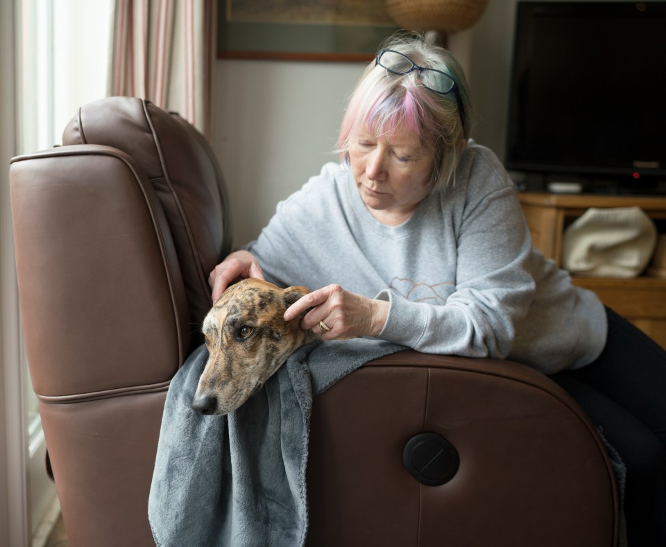  Paula Scurfield with Battersea dog Tigger