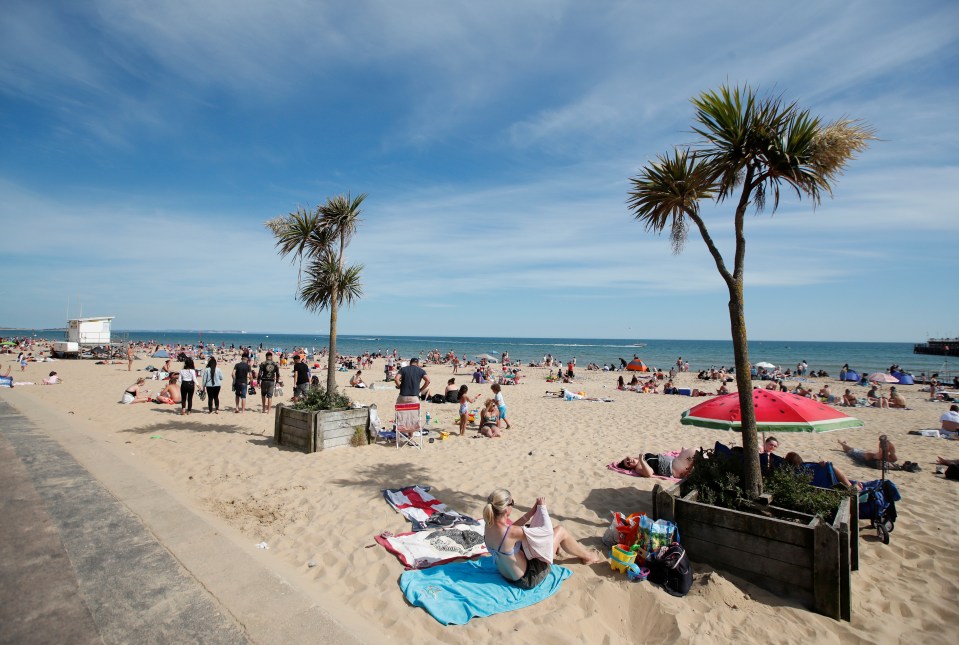  Palm trees at Bournemouth beach offered shade from the baking sun