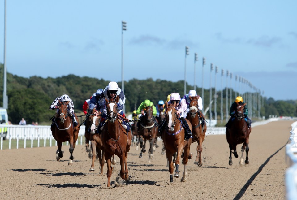  Horseracing will resume at Newcastle tomorrow, but with no spectators present