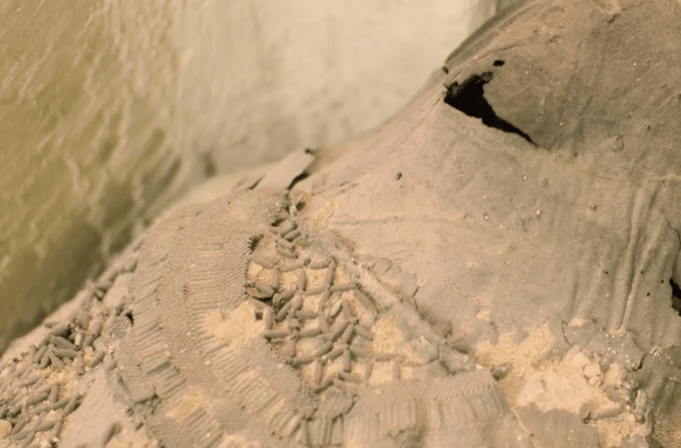 Some of the mummies still feature incredible craftsmanship, like these beads seen above