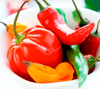 Feeling spicy? Get three chilli plants for £12.99