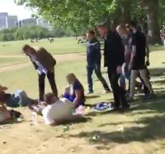 A man in a brown jacket spits on a woman enjoying a picnic with her friends in Hyde Park