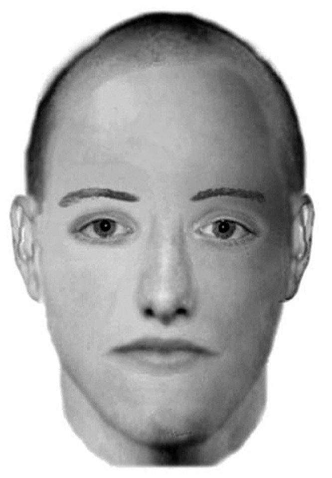 Police issued this e-fit of a person of interest in the Madeleine McCann case