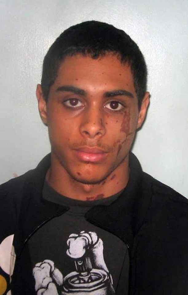 Stefan Sylvestre attacked Katie Piper with acid but a parole board has ruled he can go free again