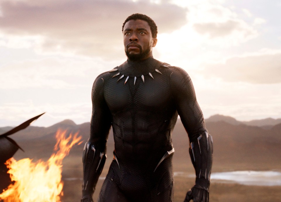 The singer worked with Disney on the first Black Panther film, which starred Chadwick Boseman