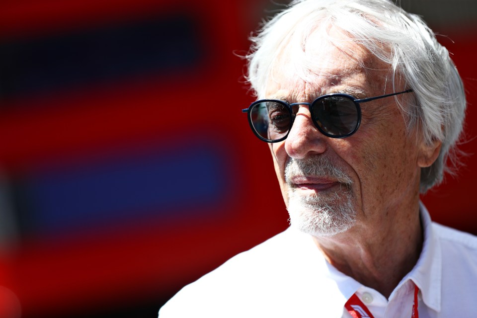 Bernie Ecclestone made the shocking claims in an interview with CNN Sport