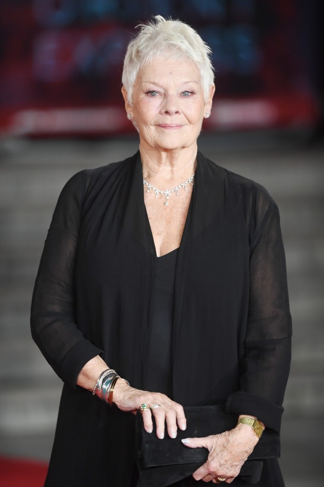 Dame Judi Dench has warned that theatres may not open again in her lifetime